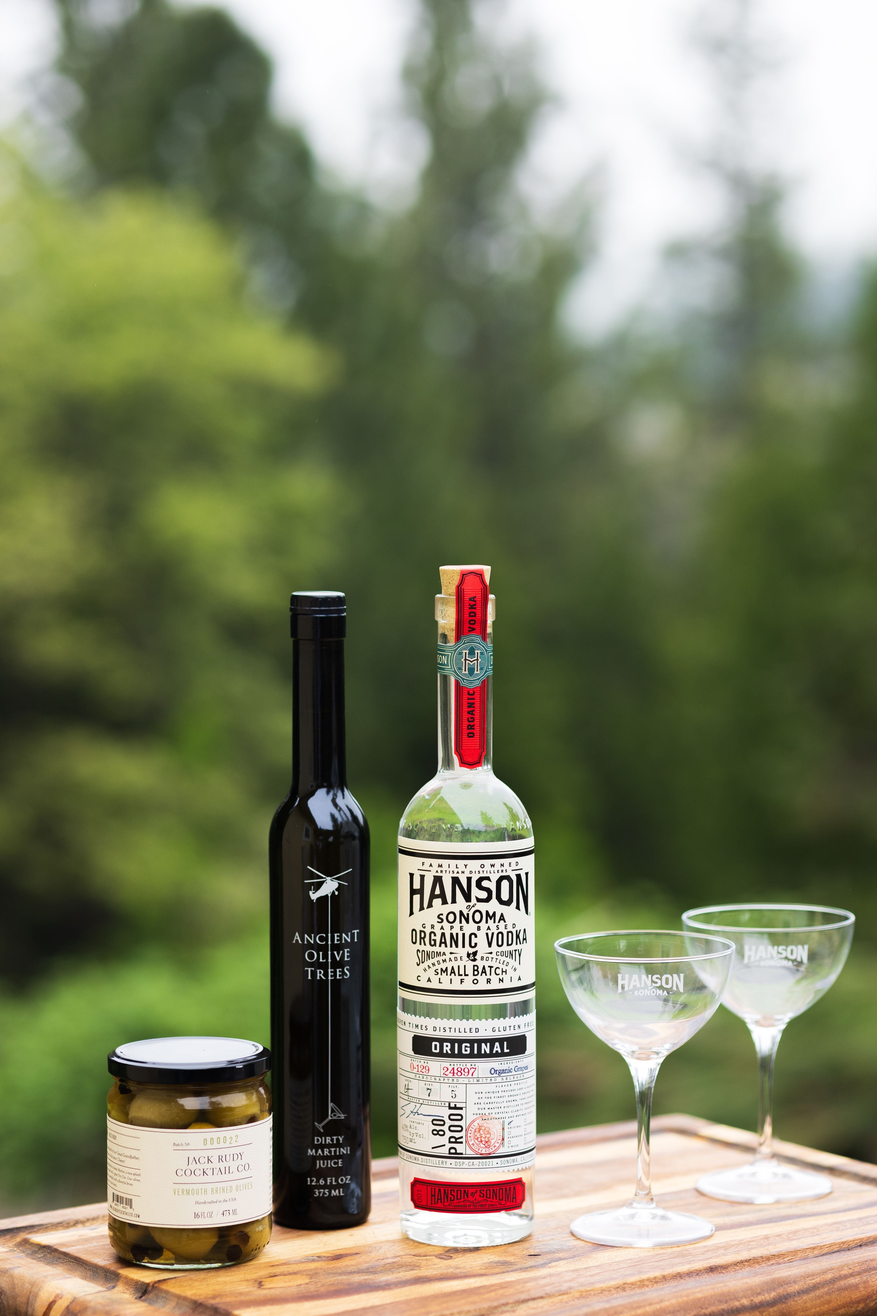 Classic Gin Martini Cocktail Kit