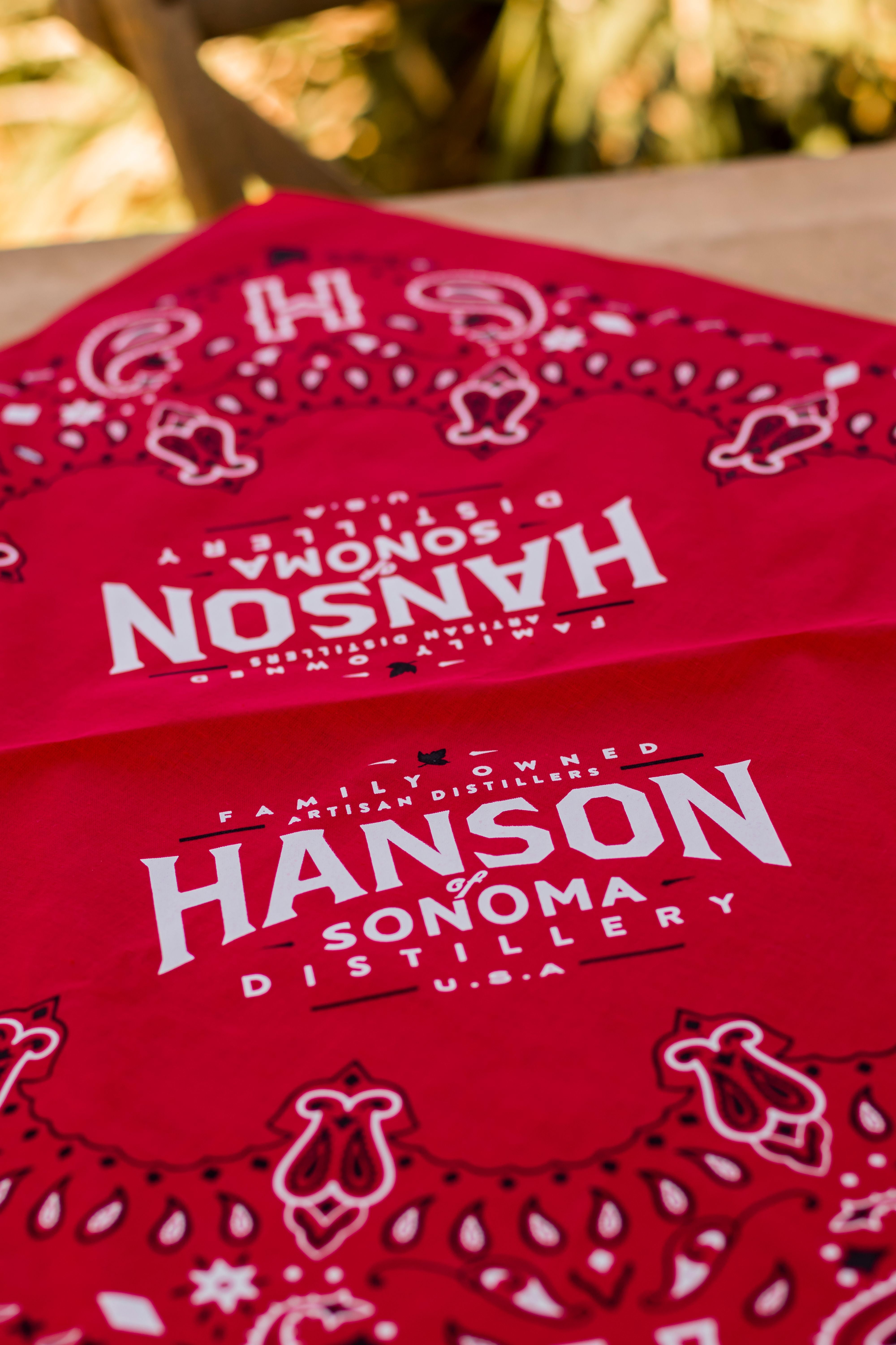 Hanson Red Bandana
