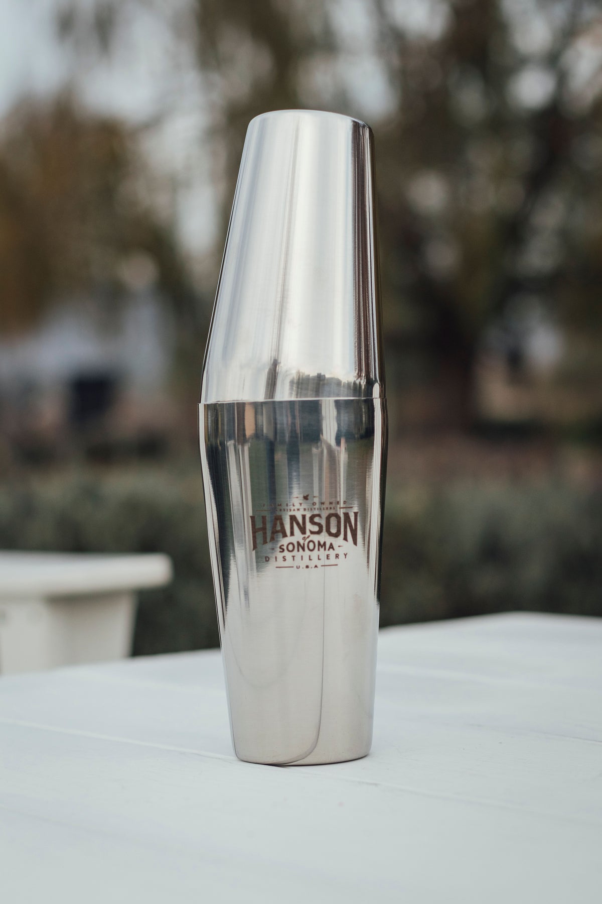 Hanson Branded Boston Shaker