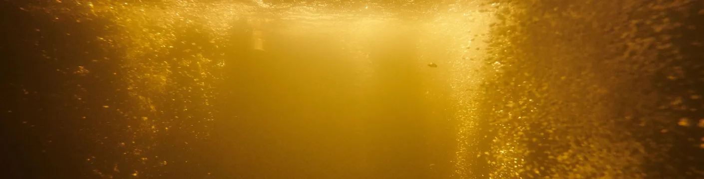 Bubbles in amber coloured liquid