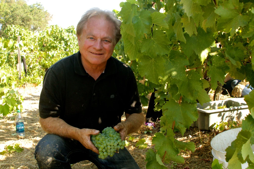 Hands holding grapes