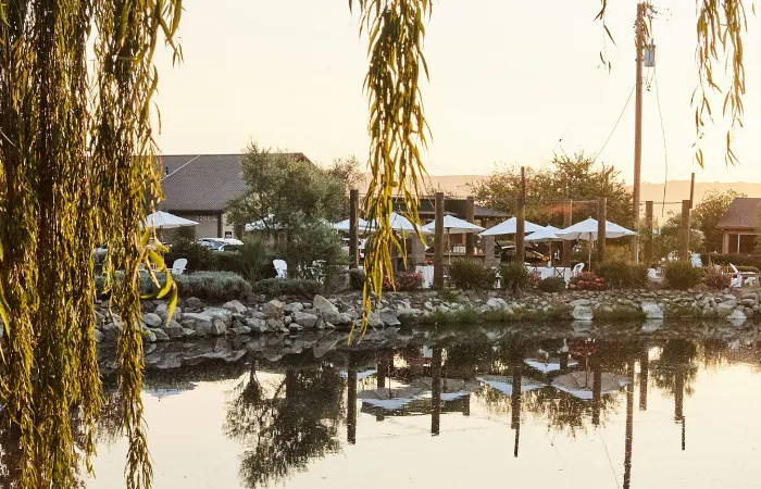 outdoor shot of pond by sonoma distillery