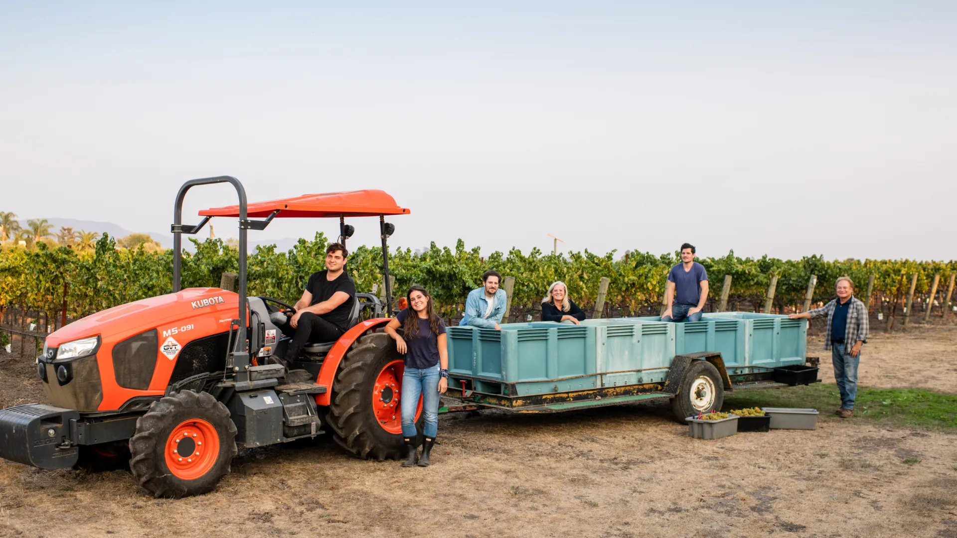 The Hanson family out in the vineyard harvesting